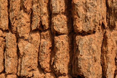 Full frame shot of wood