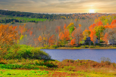 autumn