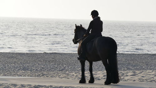 Rear view of woman riding horse on beach