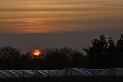 Silhouette trees on field against orange sky