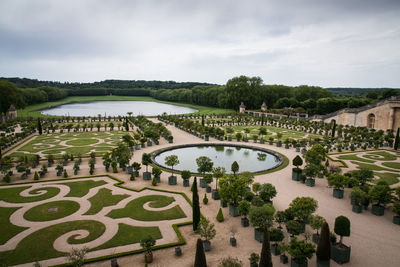 High angle view of trees in garden