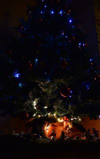 Low angle view of illuminated fireworks against sky at night