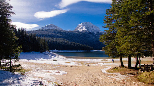 Scenic view of lake by trees against sky