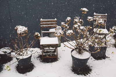 High angle view of snow covered chairs and potted plants