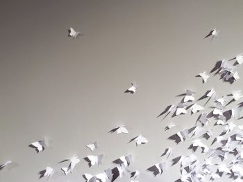 Paper butterflies on wall