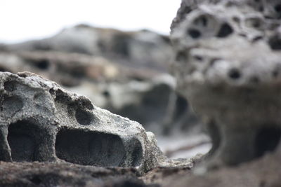 Close-up of sculpture on rock