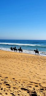 View of people riding horse on beach against clear sky