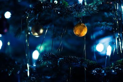 Low angle view of illuminated christmas tree at night