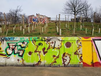 People on field by graffiti wall