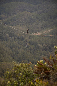 Beautiful view to adventure highliner on mountain with green forest