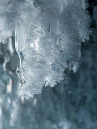 Close-up of ice
