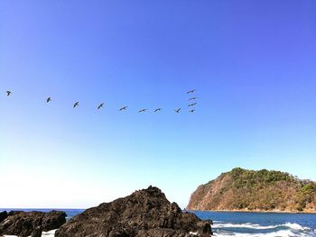 Flock of birds flying over sea against clear blue sky