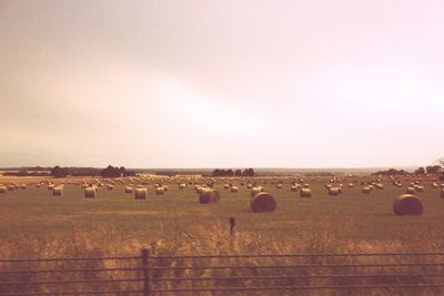 Hay bales on landscape against sky