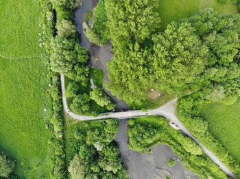 High angle view of road amidst trees