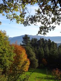 Scenic view of green landscape and mountains against sky