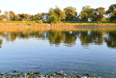 Scenic view of lake