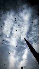 Low angle view of birds flying against cloudy sky