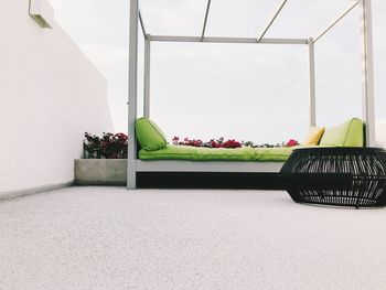 Potted plants on sofa against wall at home
