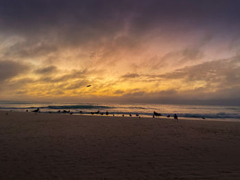 Scenic view of beach against sky during sunset