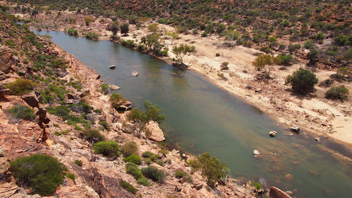 High angle view of river amidst trees