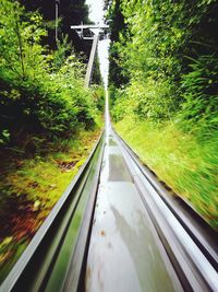 View of tunnel