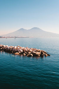 Scenic view of sea against clear sky