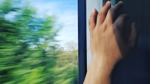 Close-up of human hand against window