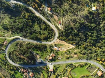 Directly above shot of curvy road amidst trees