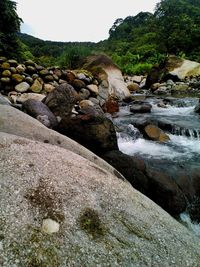 Rocks in stream