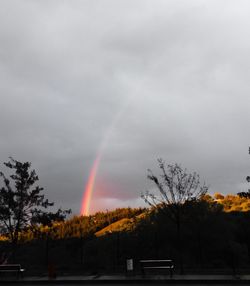 Low angle view of rainbow over trees against sky