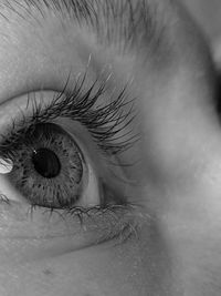 Macro shot of woman eye