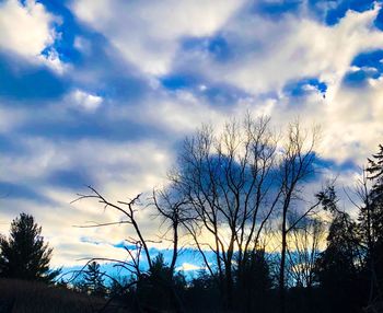 Low angle view of silhouette bare trees against sky