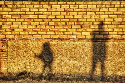 Shadow of man and woman standing on brick wall