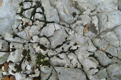 Full frame shot of rock