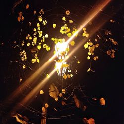 illuminated