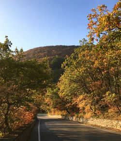 Road amidst trees against sky during autumn