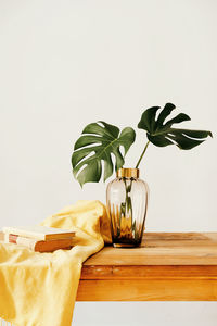 Composition of fresh green plants in glass vase and stacked books with yellow textile on wooden desk against white background