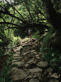 Woman walking on dirt road in forest