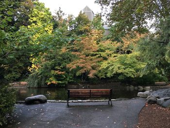 Trees in park