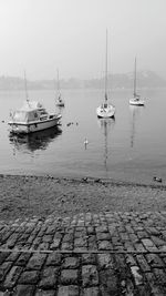 Boats sailing in sea