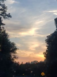 Low angle view of silhouette trees against sky during sunset