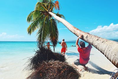 People enjoying by palm tree at beach against sky