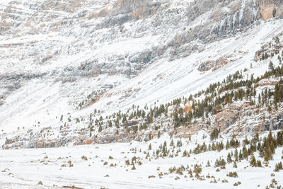 Scenic view of snow covered landscape