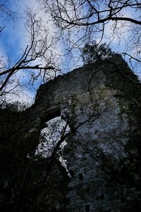 Low angle view of bare trees against sky