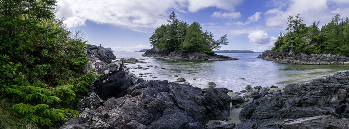 Panoramic view of trees against sky