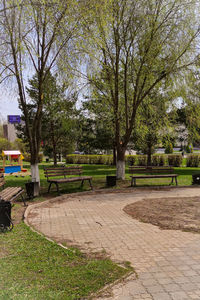 Trees in park