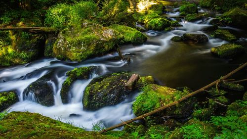 Stream flowing through rocks