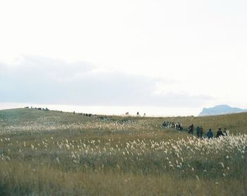 People working on field against sky