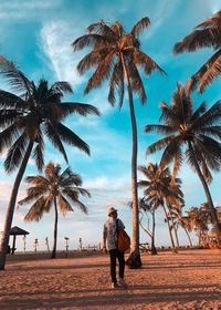 Rear view of man walking by palm trees at beach against sky