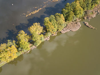 High angle view of plants by lake against sky